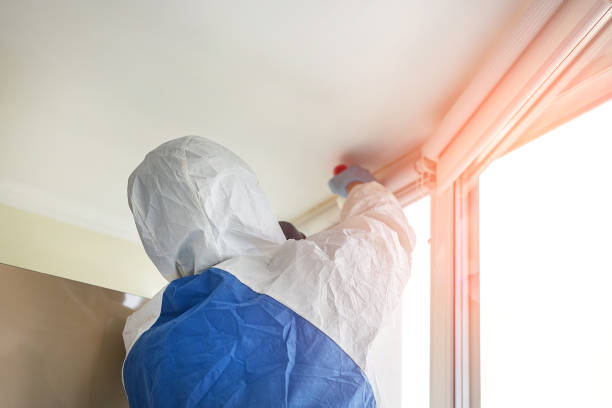 Mold Documentation for Insurance Claims in Lynwood, CA